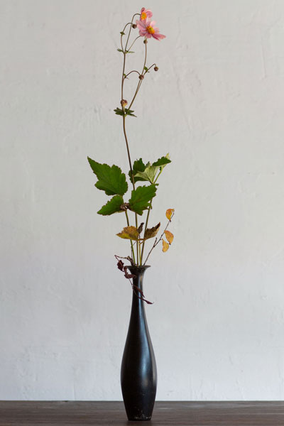 はないけ：齊藤謙大／器：安齊賢太