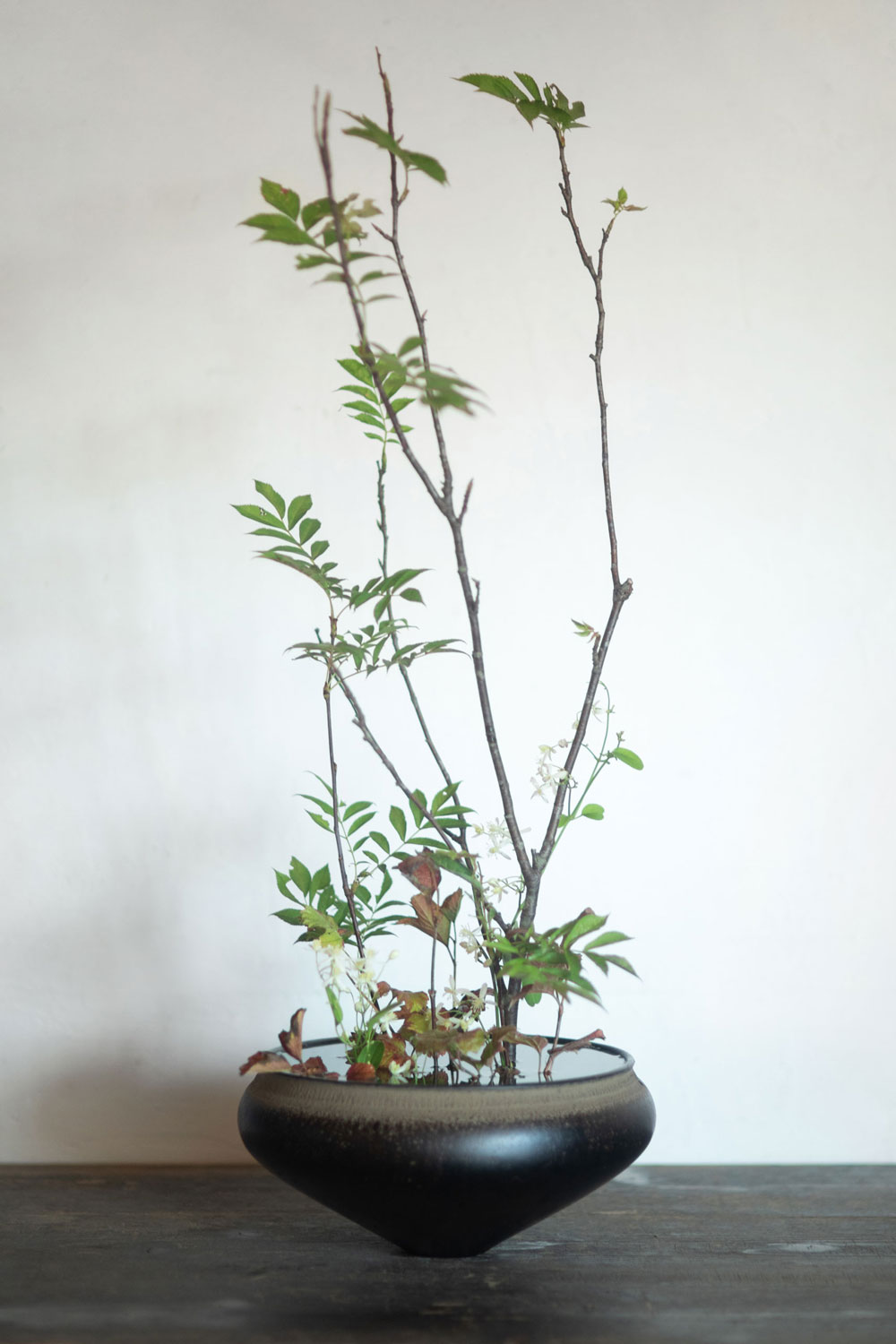 はないけ：齊藤謙大／器：安齊賢太