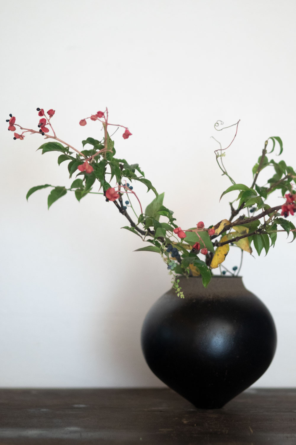 はないけ：齊藤謙大／器：安齊賢太