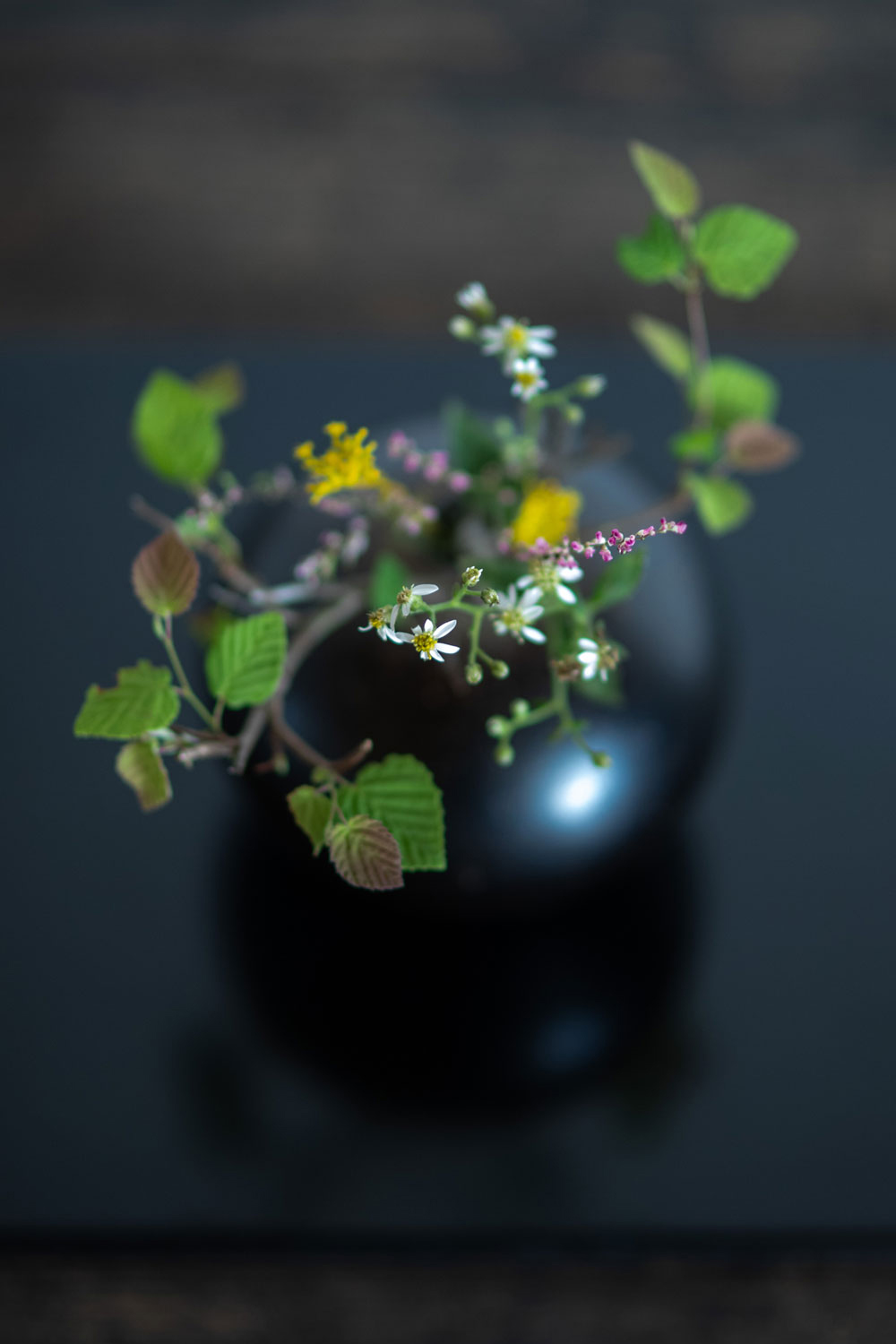 はないけ：齊藤謙大／器：安齊賢太